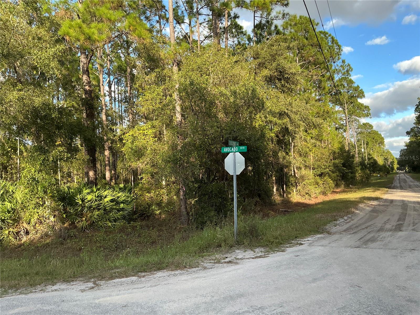 1589 AVOCADO BOULEVARD, Bunnell, FL 32110