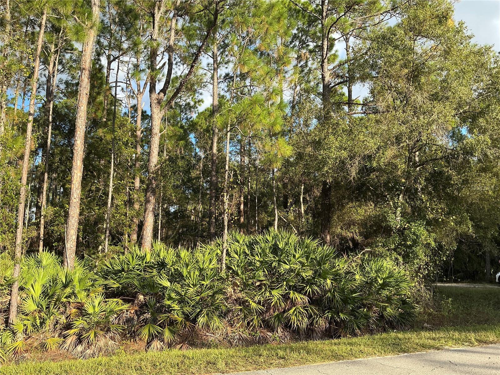1589 AVOCADO BOULEVARD, Bunnell, FL 32110