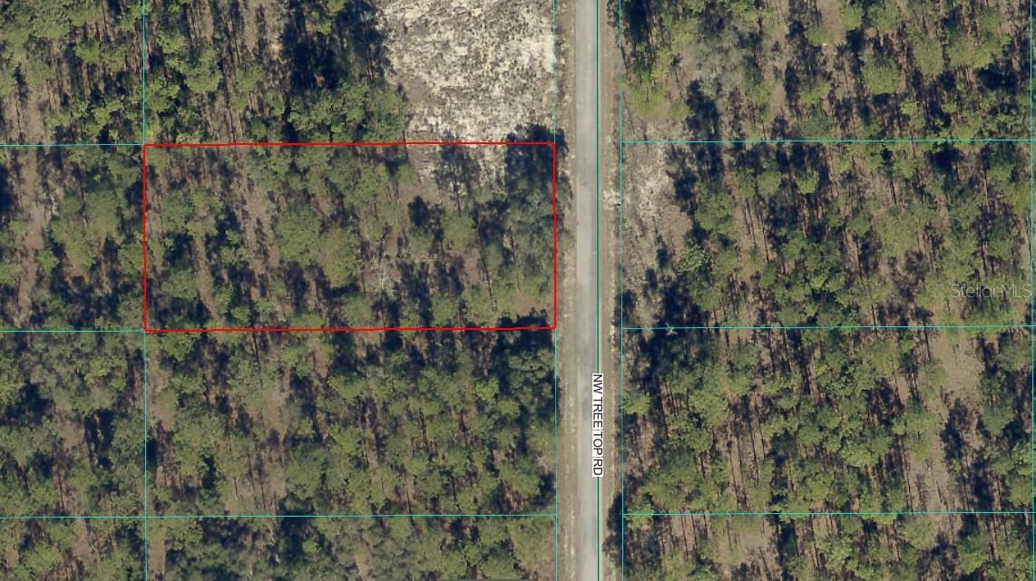 NW TREE TOP ROAD, Dunnellon, FL 34431