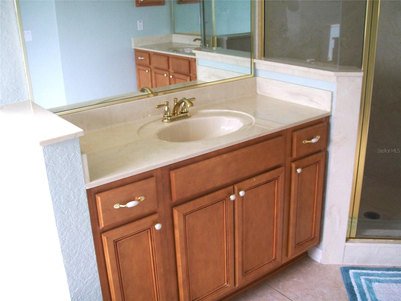 13202 SW 29TH CIRCLE, Ocala, FL 34473