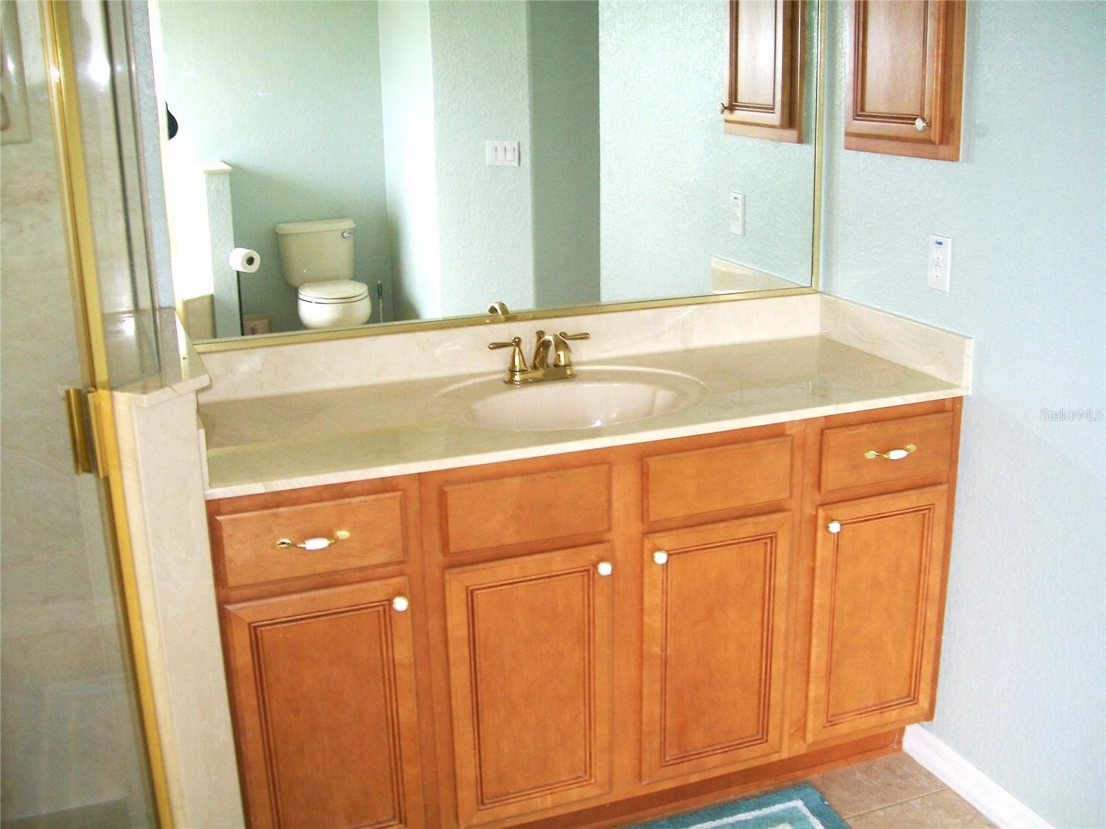 13202 SW 29TH CIRCLE, Ocala, FL 34473