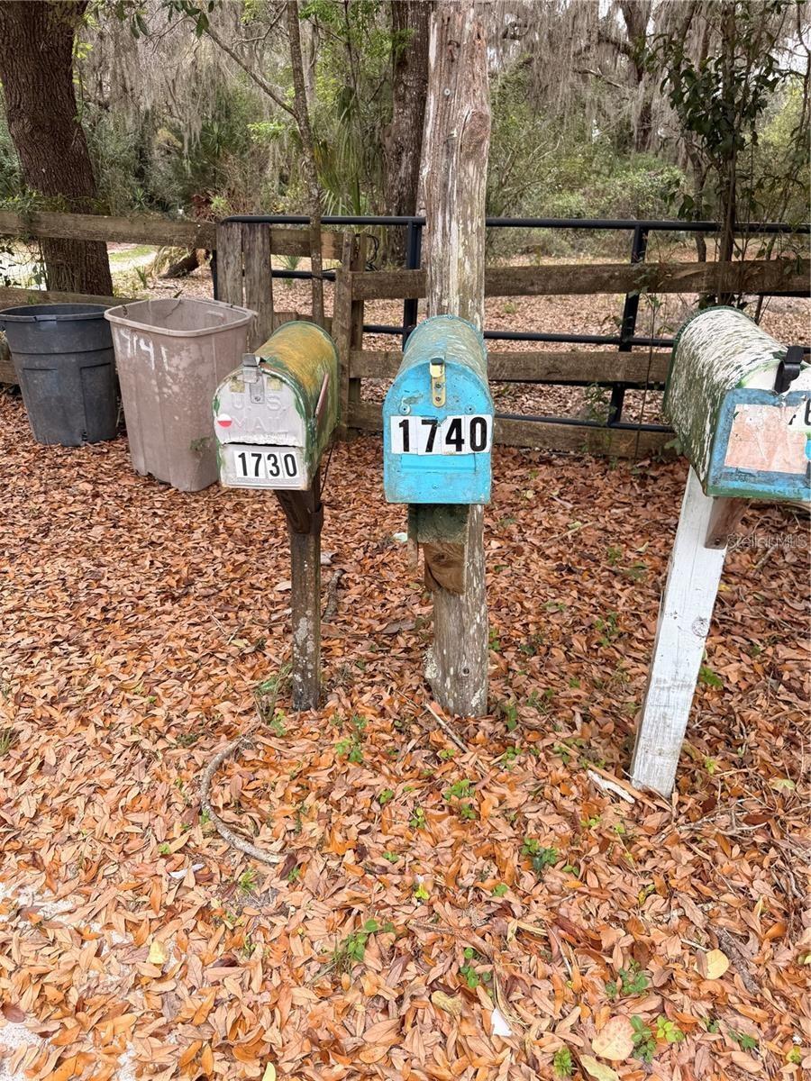 1730 S PALM AVENUE, Homosassa, FL 34448 1730 S PALM AVENUE, Homosassa, FL 34448