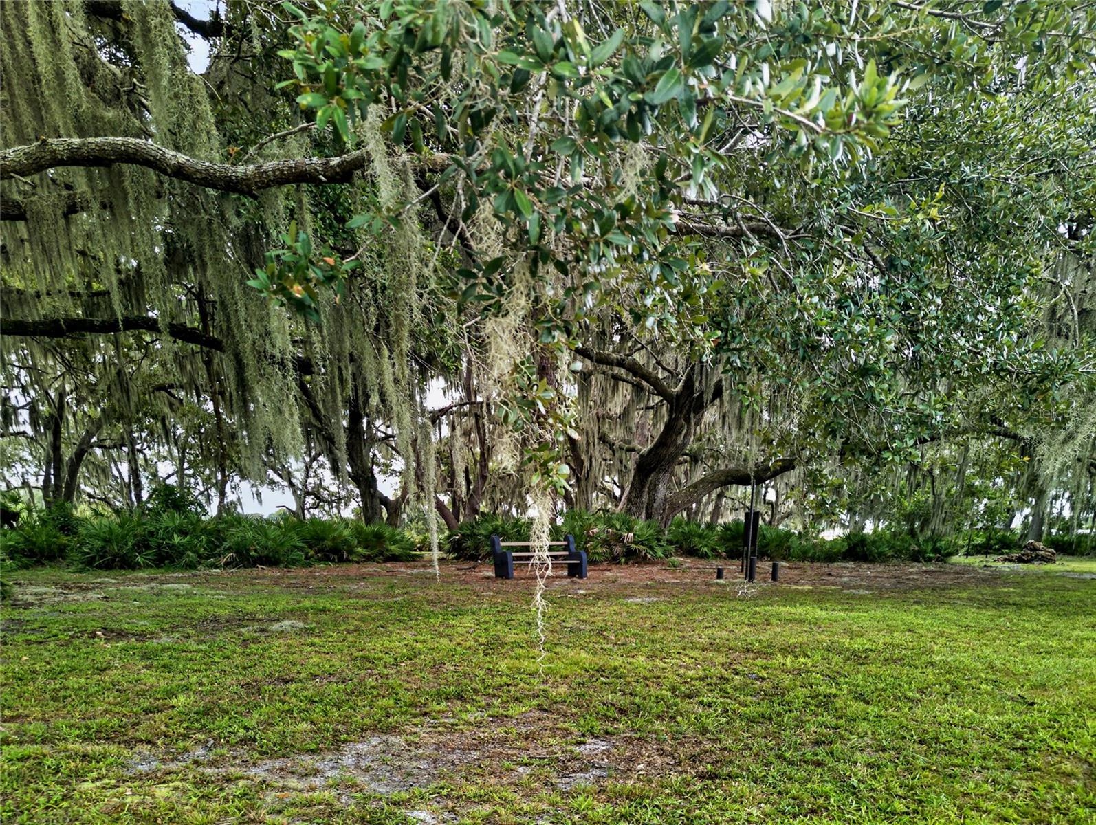 Relaxing Nature Trails on the Island.