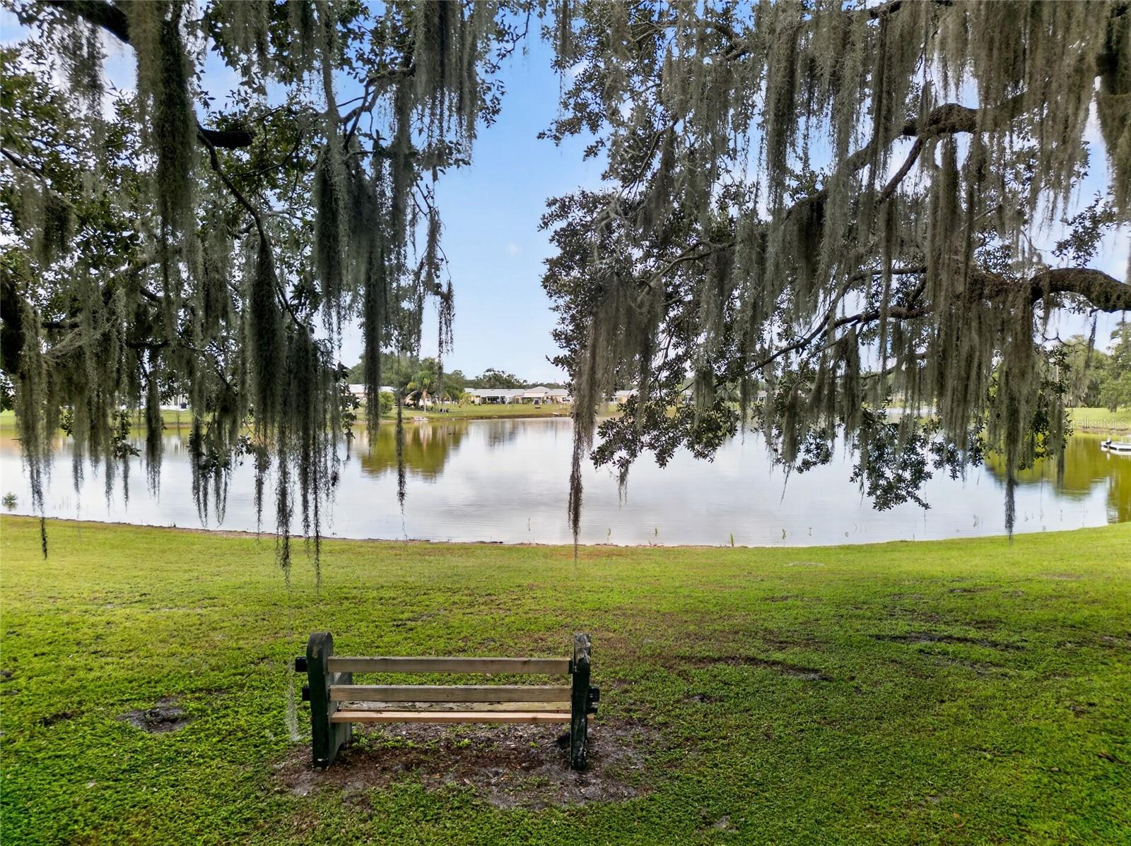 Relax and enjoy nature here on the island.
