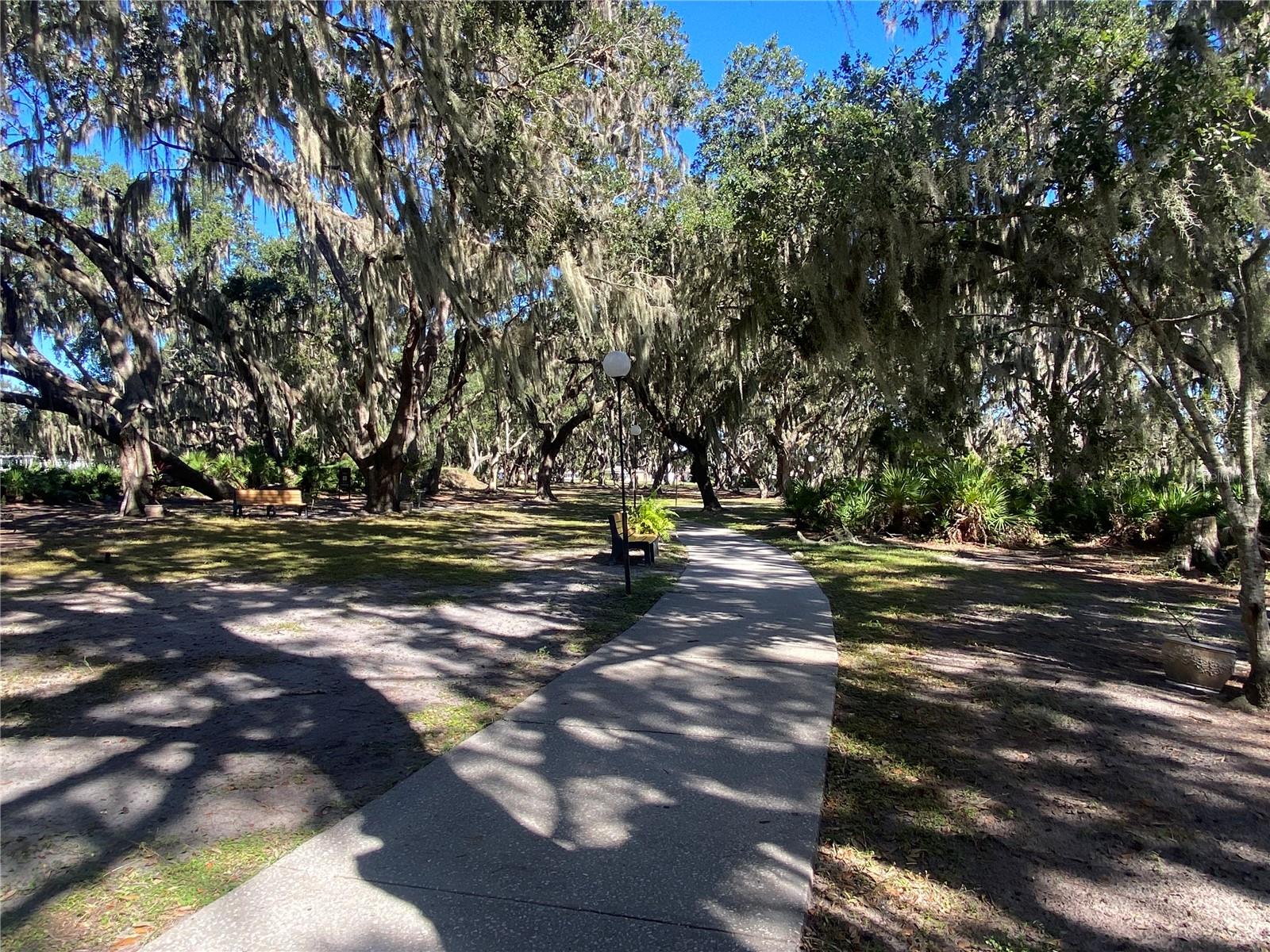Concrete pathways make an easy walk to enjoy nature.