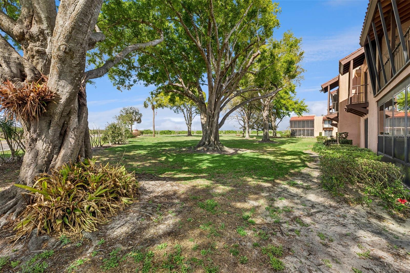 Condominium grounds with beautiful oak trees