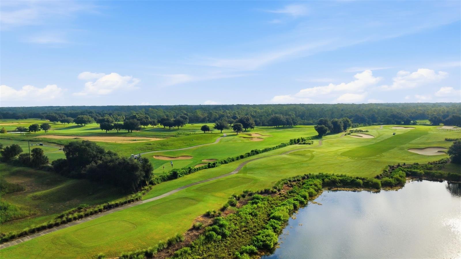 771 DROP SHOT DRIVE, Davenport, FL 33896