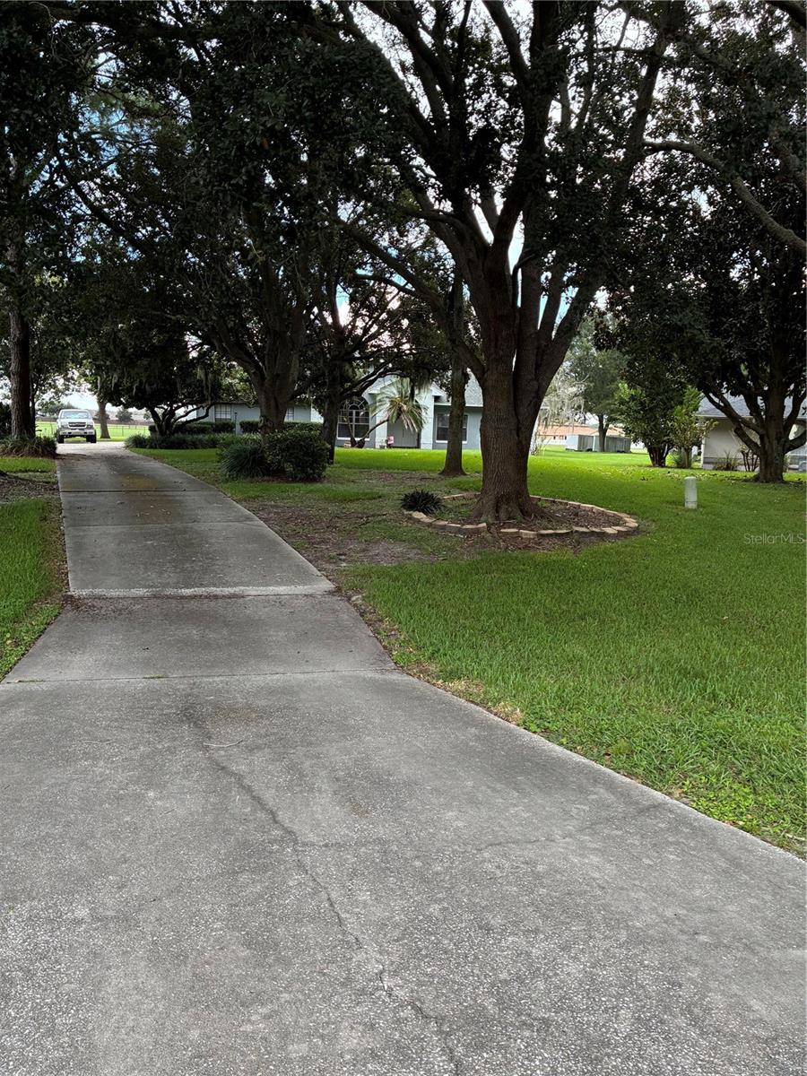 FRONT YARD FRONT YARD