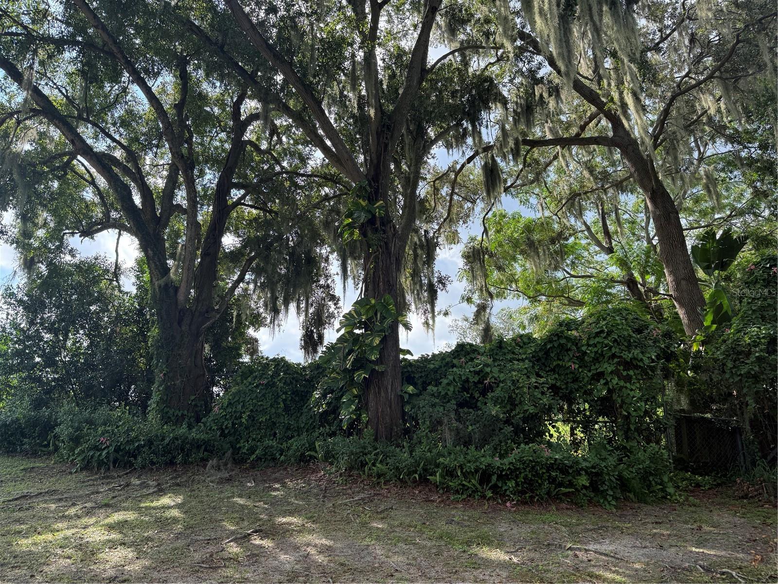 1400 AVENUE D NE, Winter Haven, FL 33881