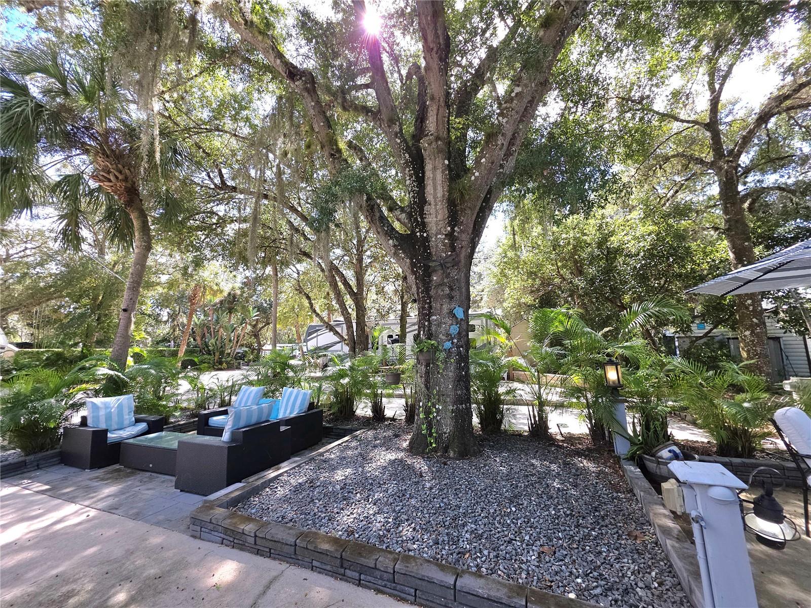 128 STALLION LANE, Lake Wales, FL 33898 128 STALLION LANE, Lake Wales, FL 33898