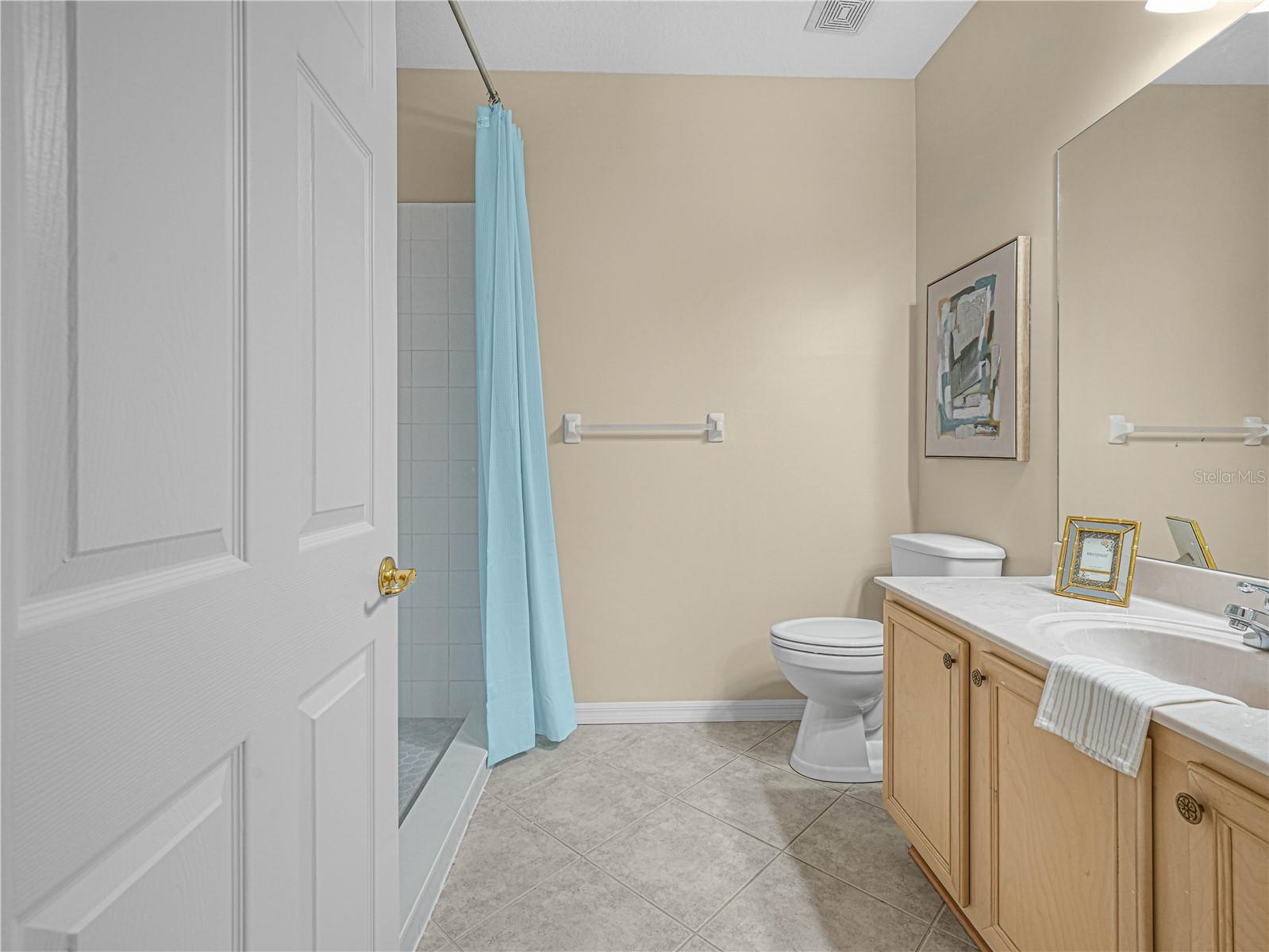 Guest Bath with New Shower Stall