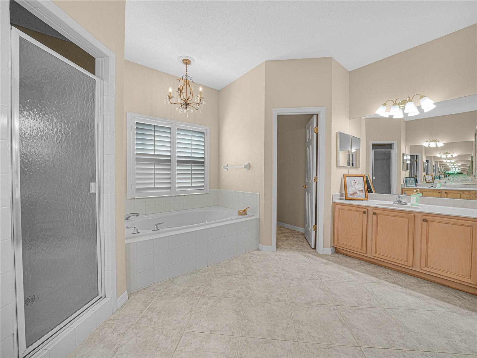 Large Soaking Tub and Walk In Shower