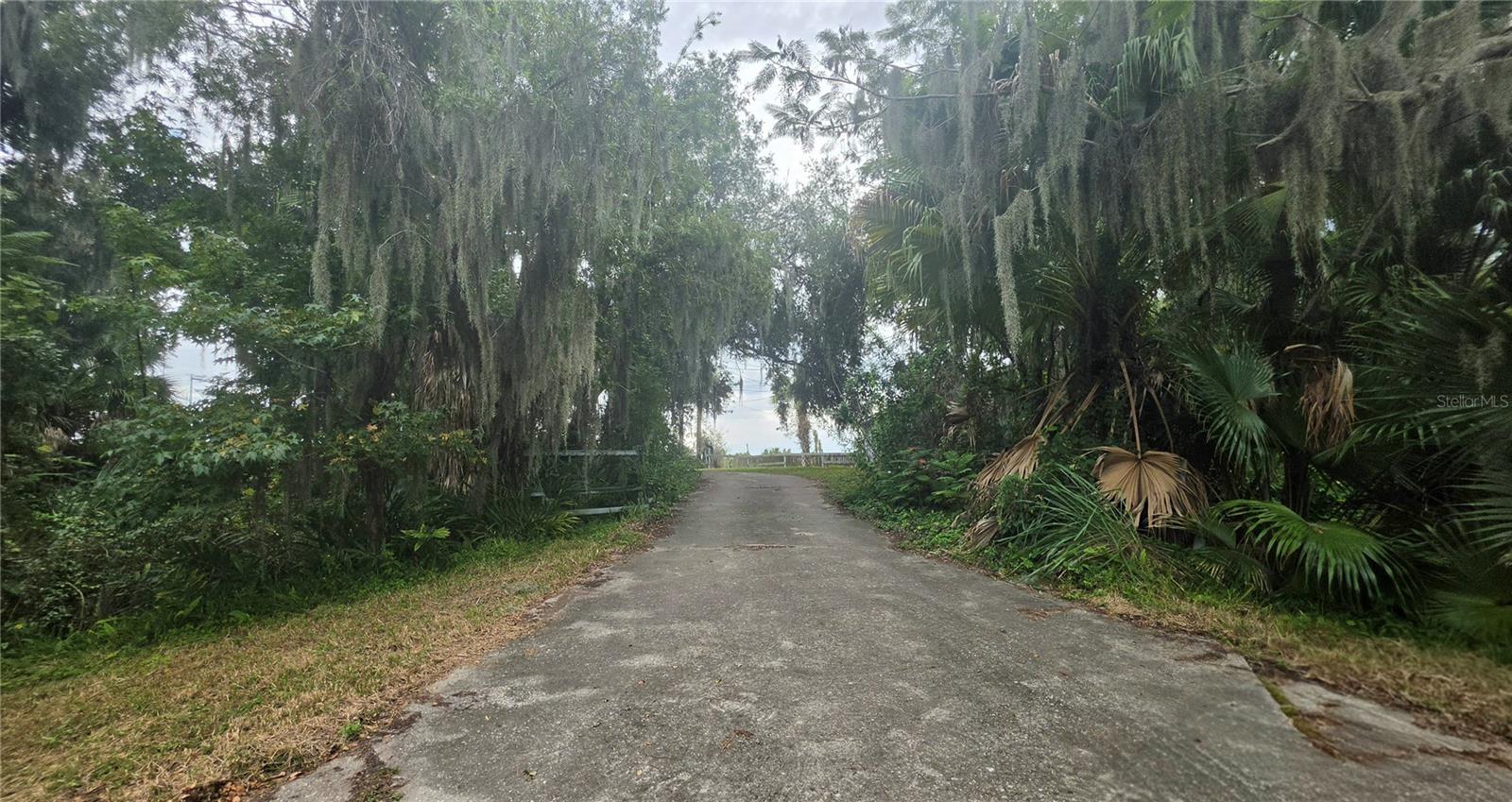 Road view