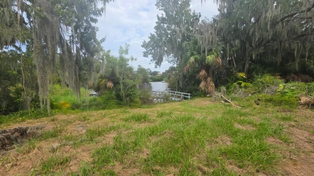 Side yard view
