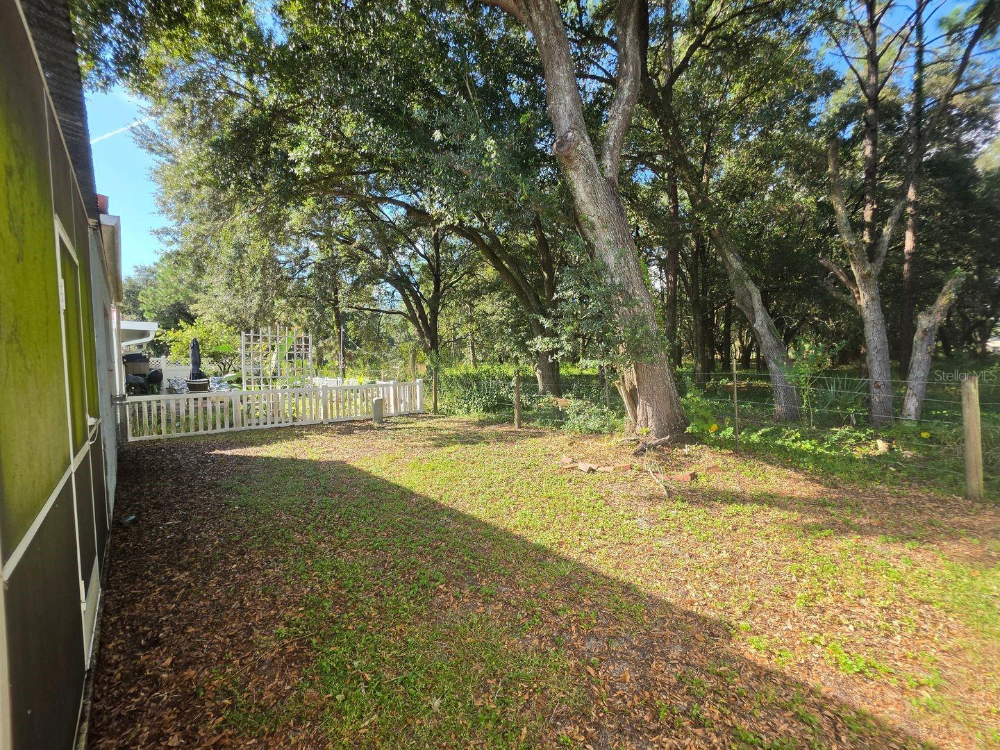 Backyard