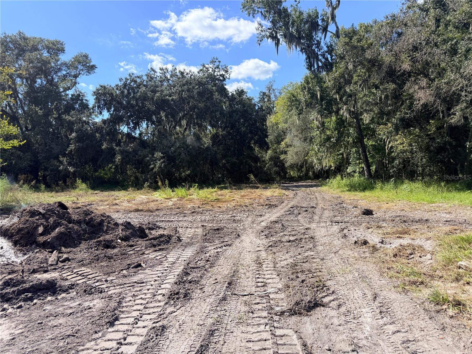 4528 MEADOWVIEW DRIVE, Lakeland, FL 33810 4528 MEADOWVIEW DRIVE, Lakeland, FL 33810