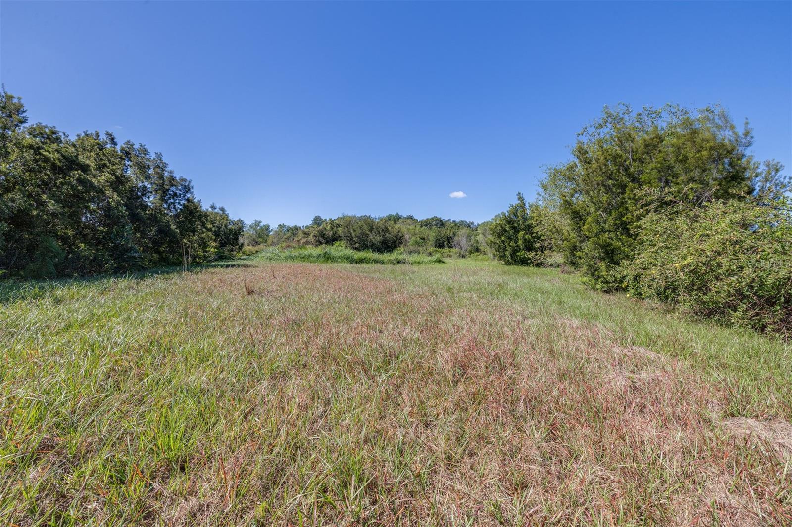 2957 N TIVOLI ROAD, Avon Park, FL 33825
