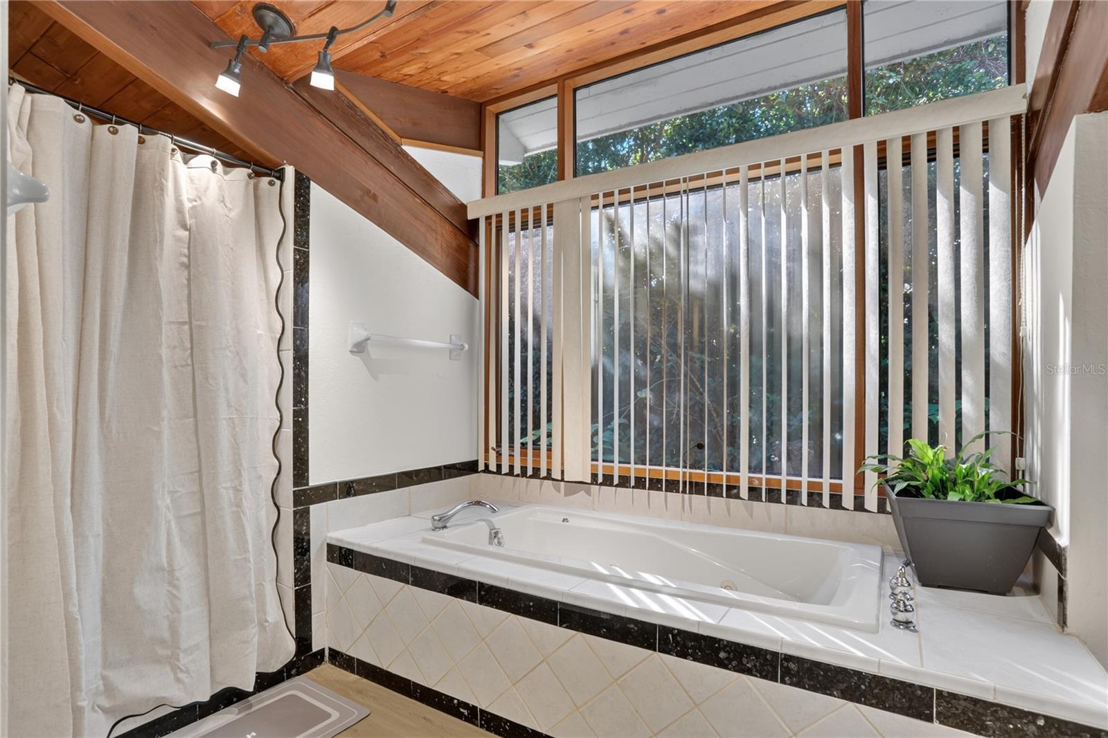 Jacuzzi Tub Master Bathroom