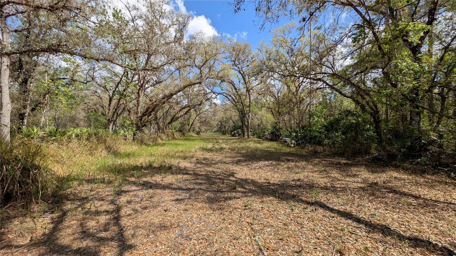 GILLETTE ROAD, Zolfo Springs, FL 33890