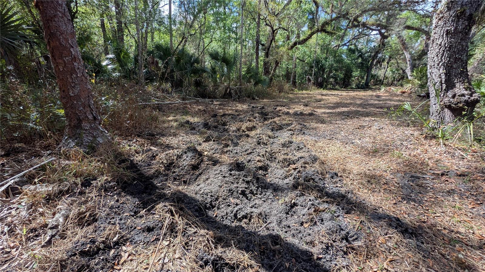 GILLETTE ROAD, Zolfo Springs, FL 33890