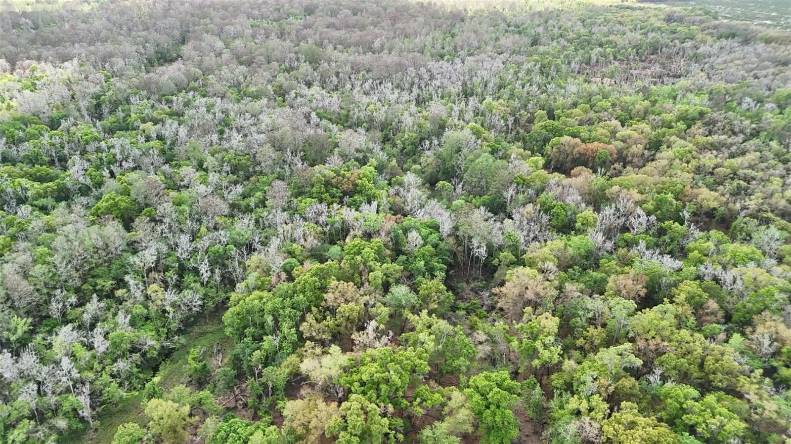 GILLETTE ROAD, Zolfo Springs, FL 33890