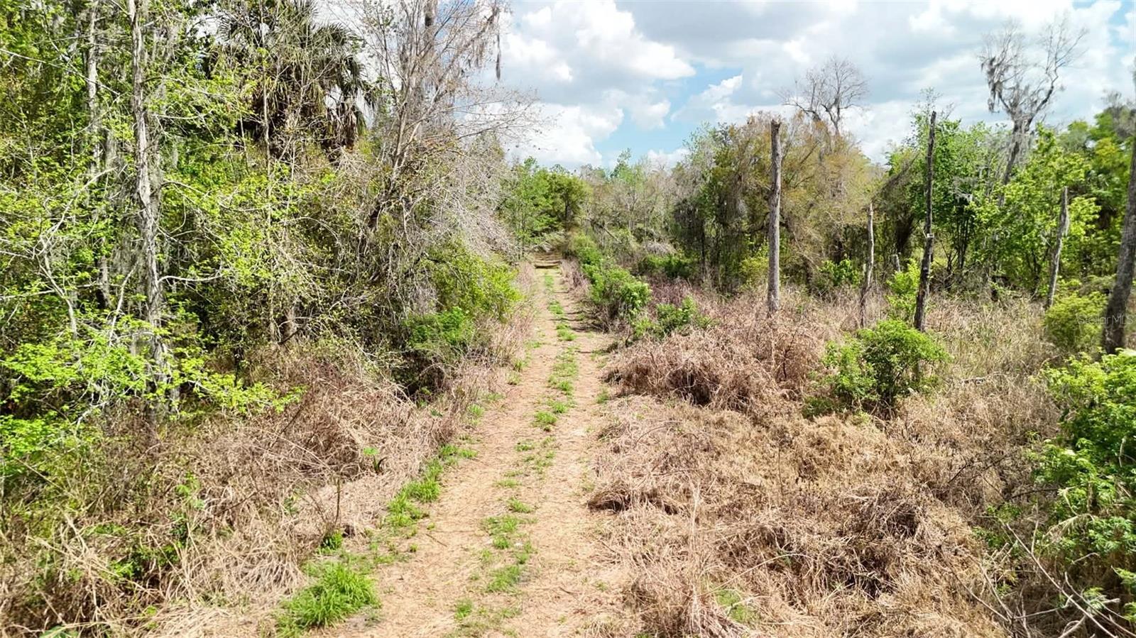 GILLETTE ROAD, Zolfo Springs, FL 33890