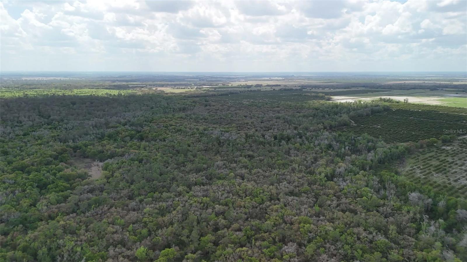 GILLETTE ROAD, Zolfo Springs, FL 33890