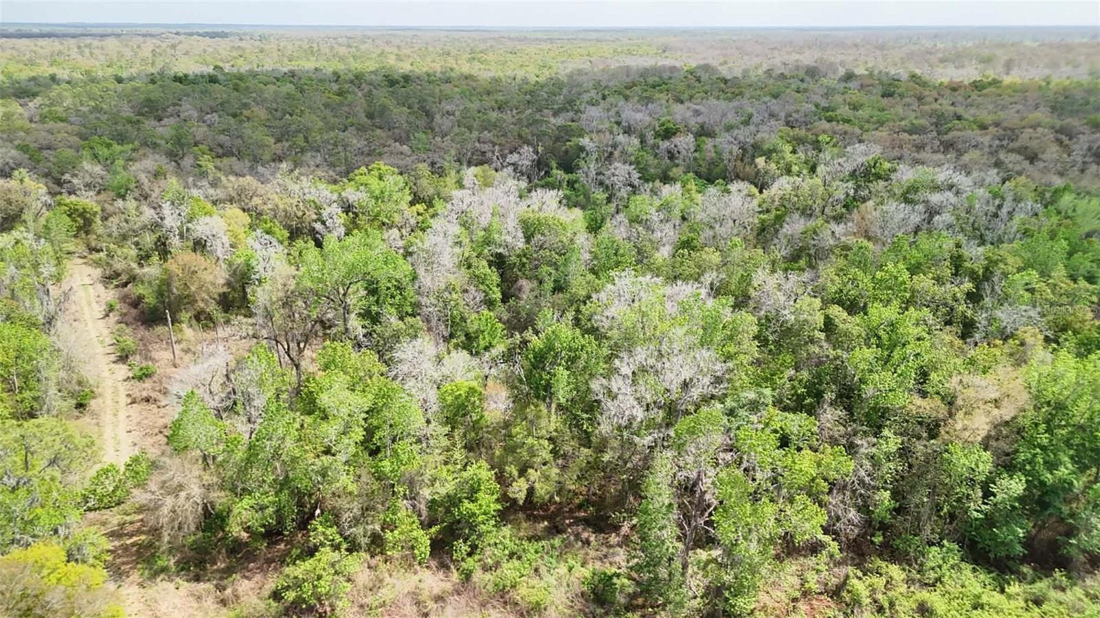 GILLETTE ROAD, Zolfo Springs, FL 33890