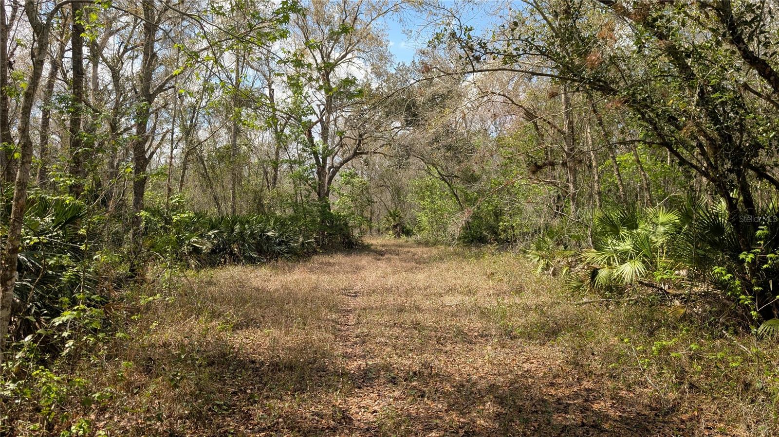GILLETTE ROAD, Zolfo Springs, FL 33890
