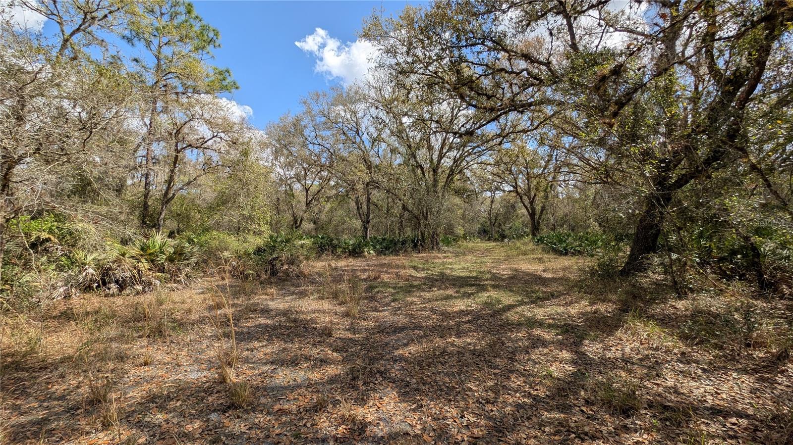 GILLETTE ROAD, Zolfo Springs, FL 33890