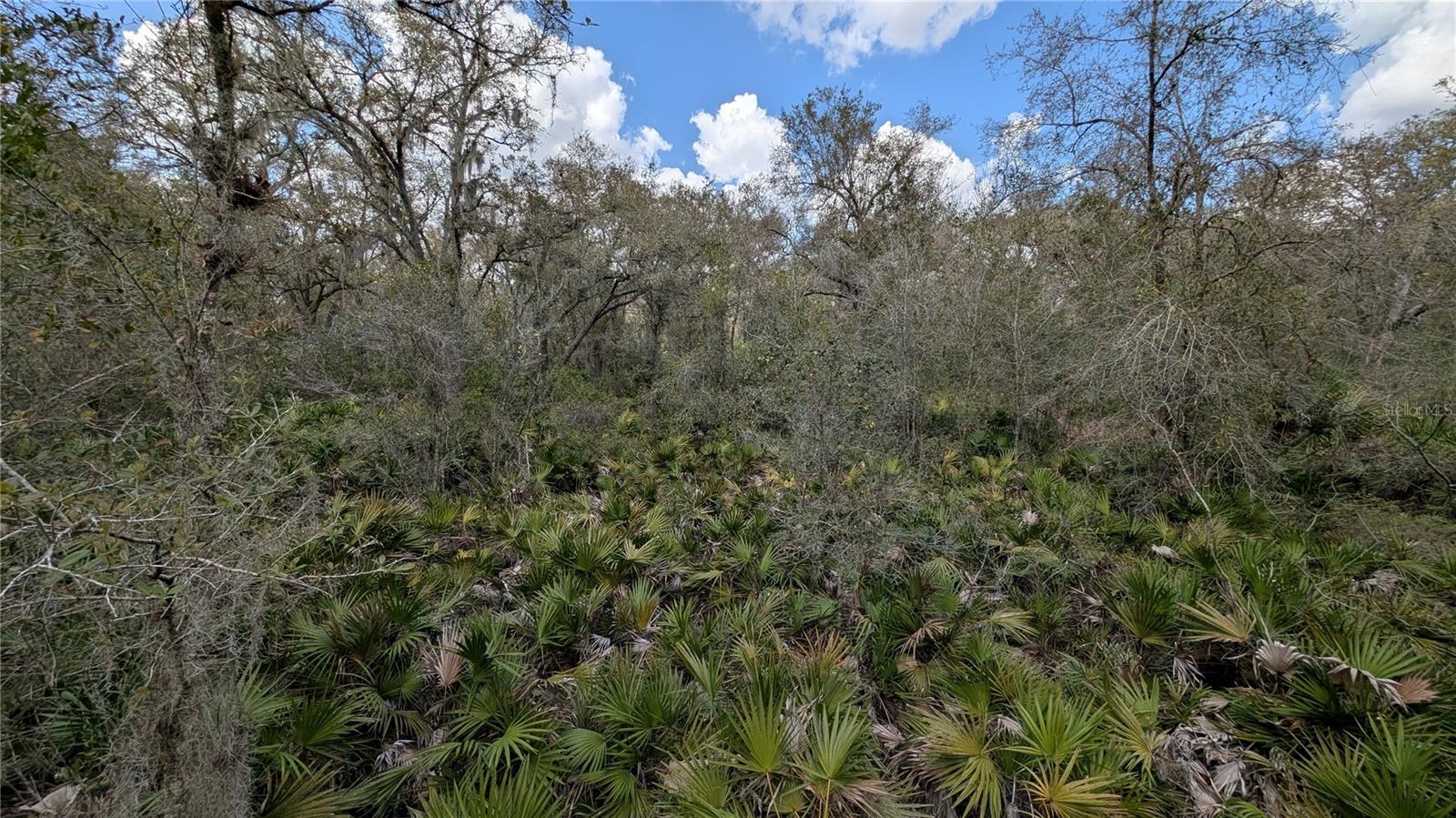 GILLETTE ROAD, Zolfo Springs, FL 33890