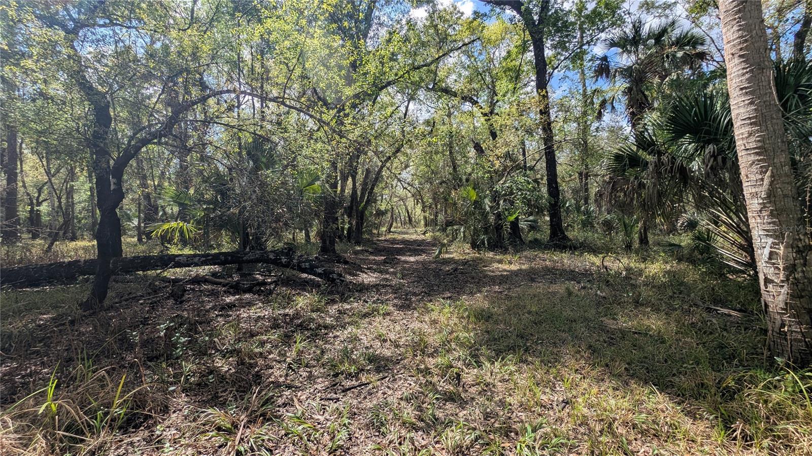 GILLETTE ROAD, Zolfo Springs, FL 33890