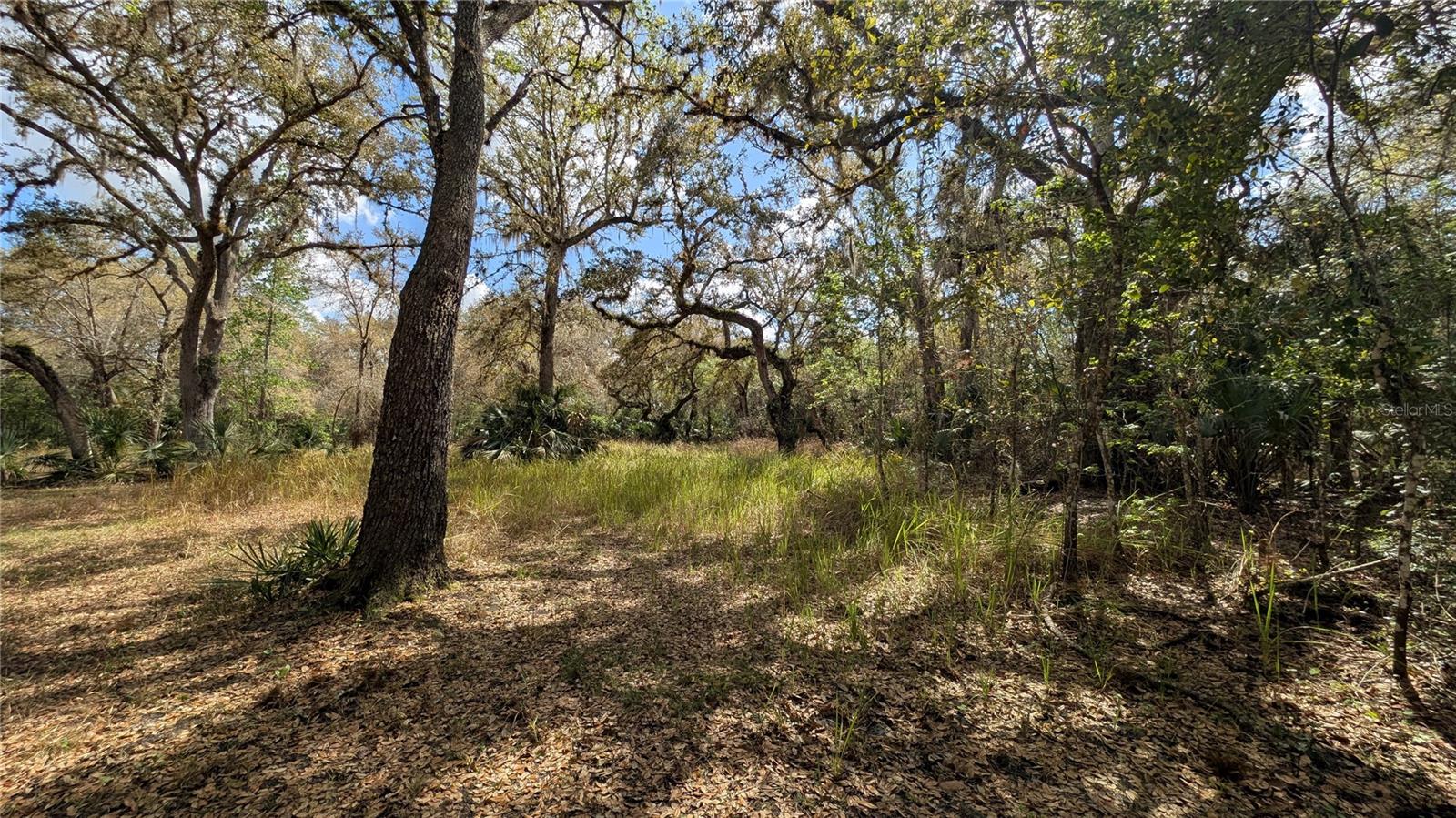 GILLETTE ROAD, Zolfo Springs, FL 33890