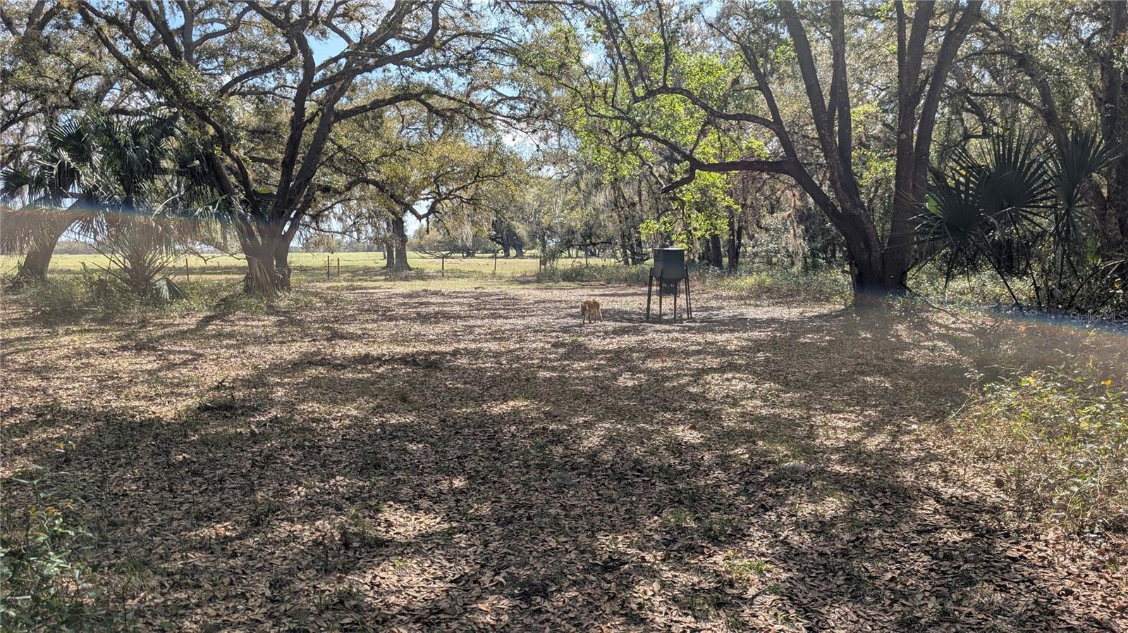 GILLETTE ROAD, Zolfo Springs, FL 33890