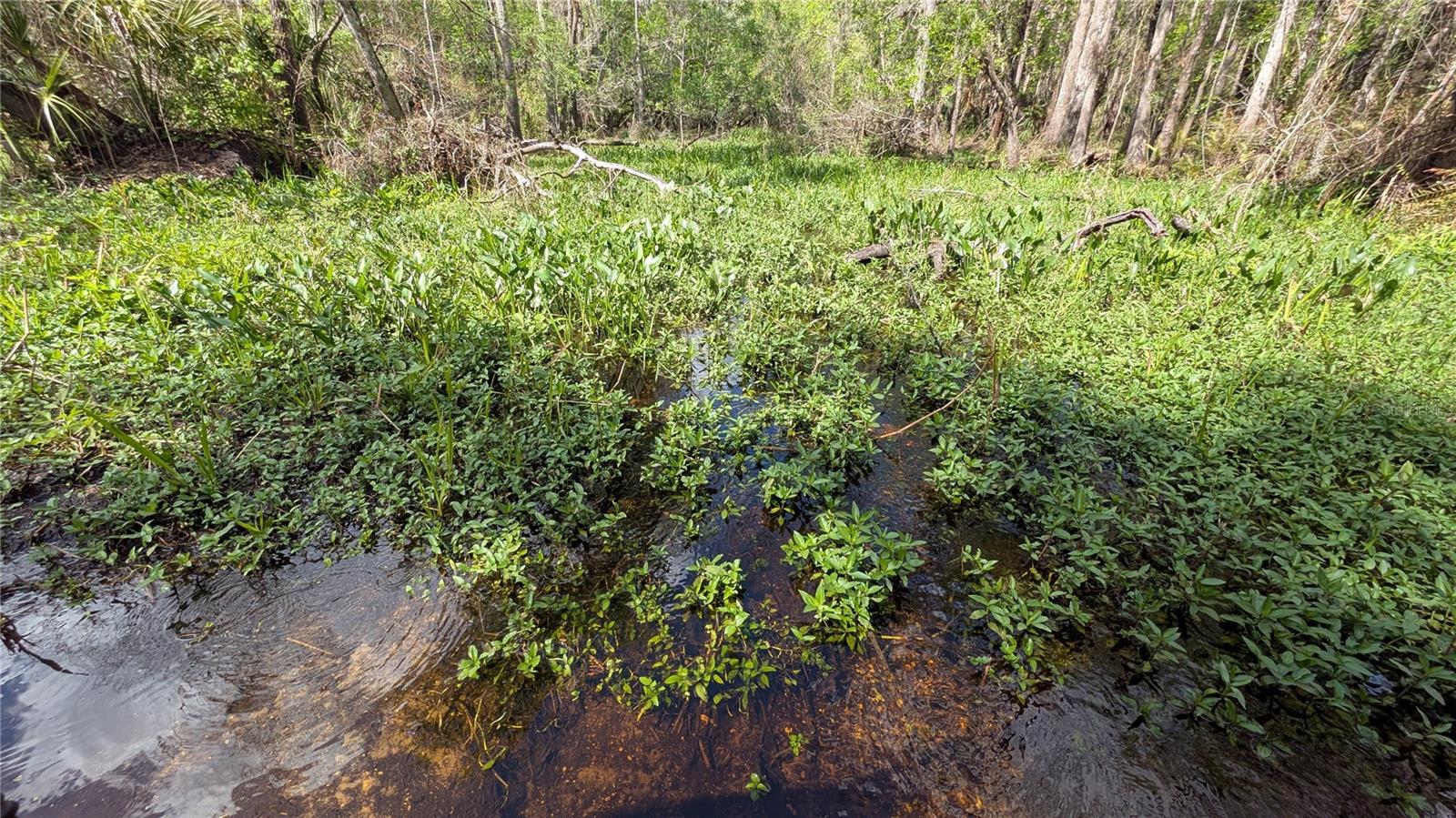 GILLETTE ROAD, Zolfo Springs, FL 33890