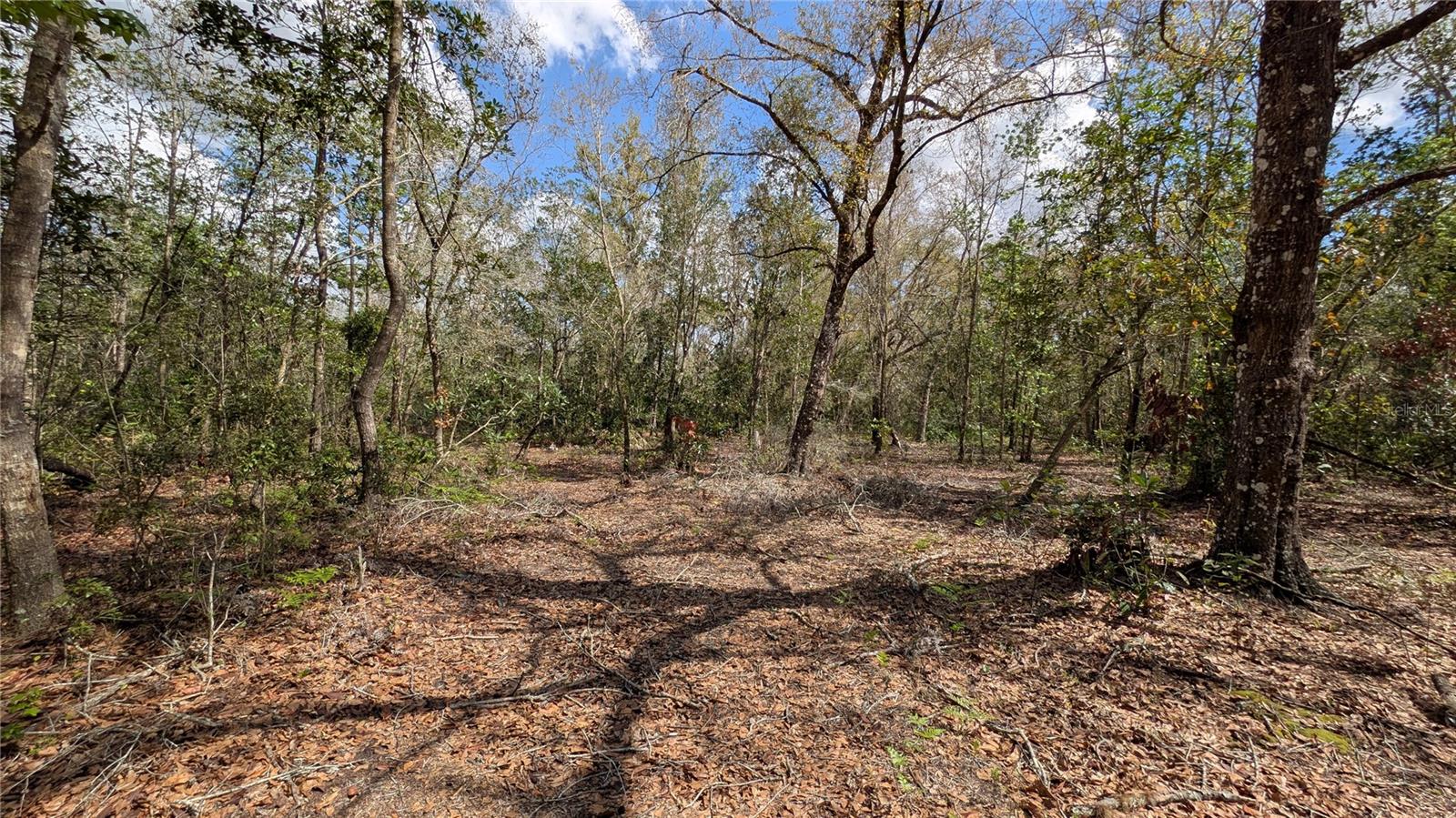 GILLETTE ROAD, Zolfo Springs, FL 33890