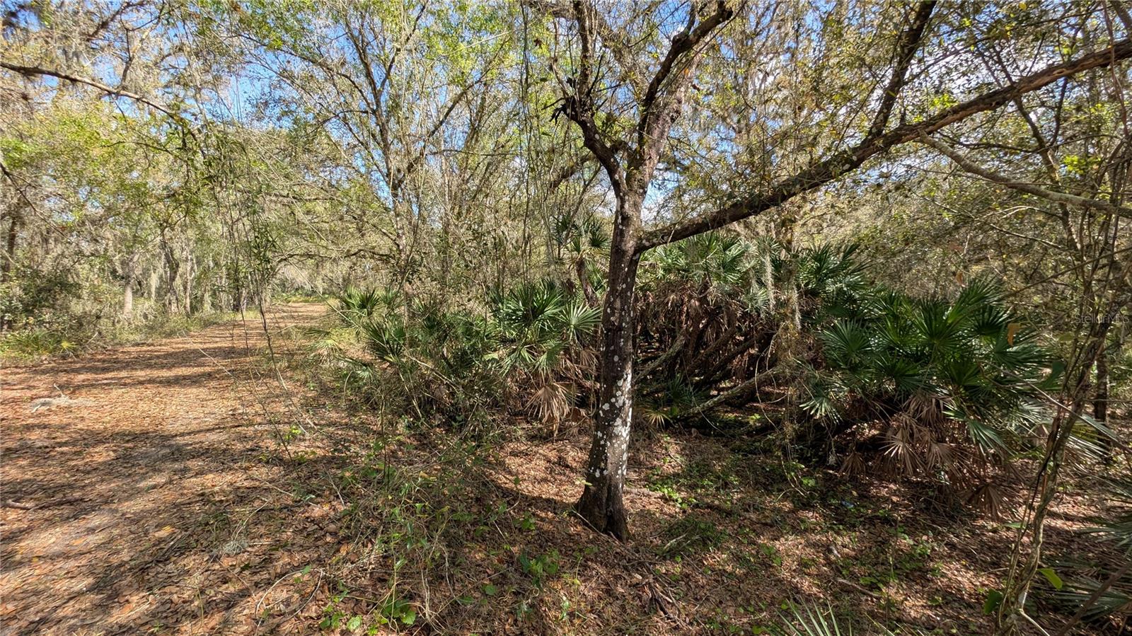 GILLETTE ROAD, Zolfo Springs, FL 33890