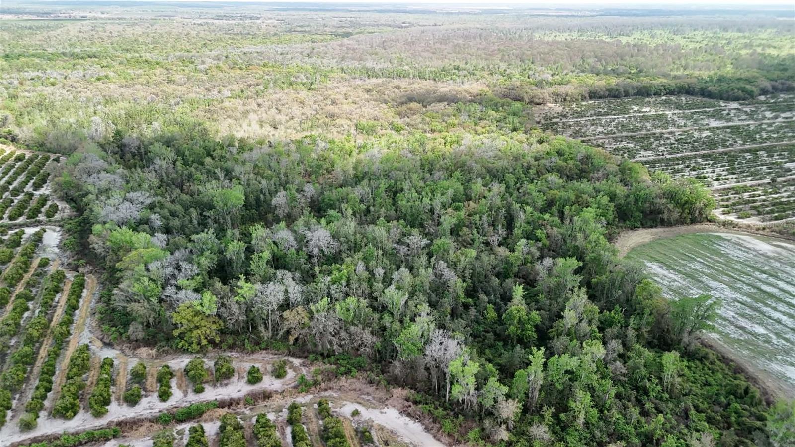 GILLETTE ROAD, Zolfo Springs, FL 33890