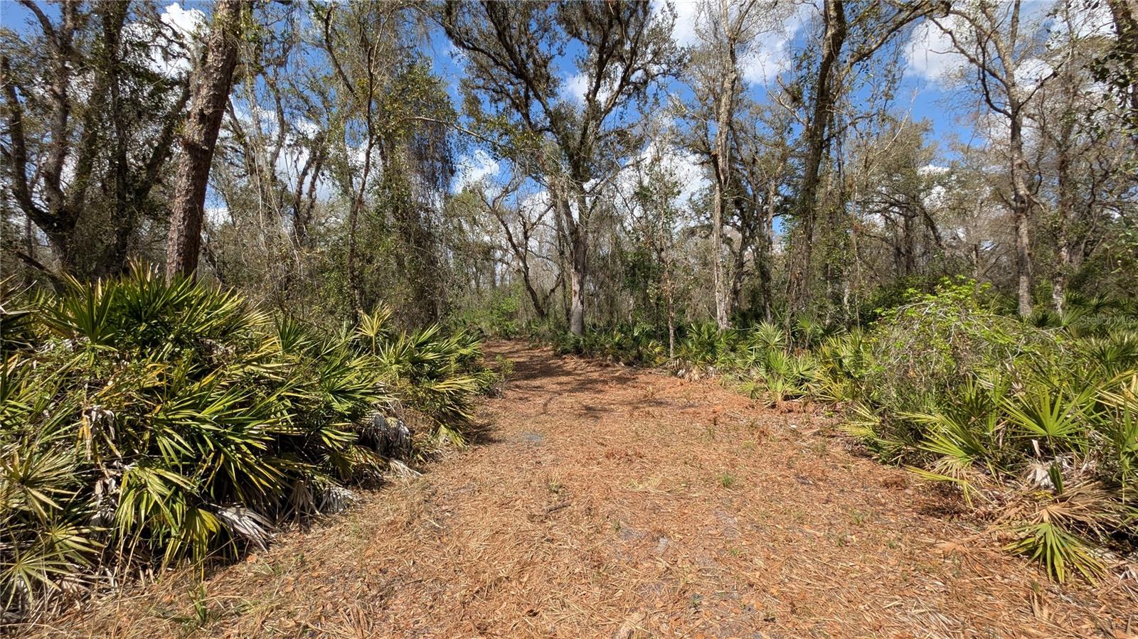 GILLETTE ROAD, Zolfo Springs, FL 33890