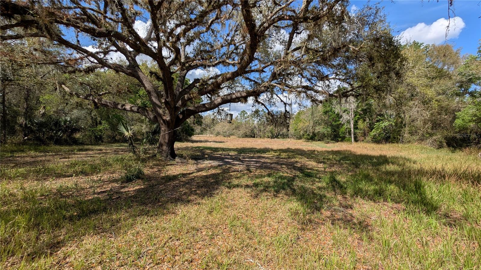 GILLETTE ROAD, Zolfo Springs, FL 33890