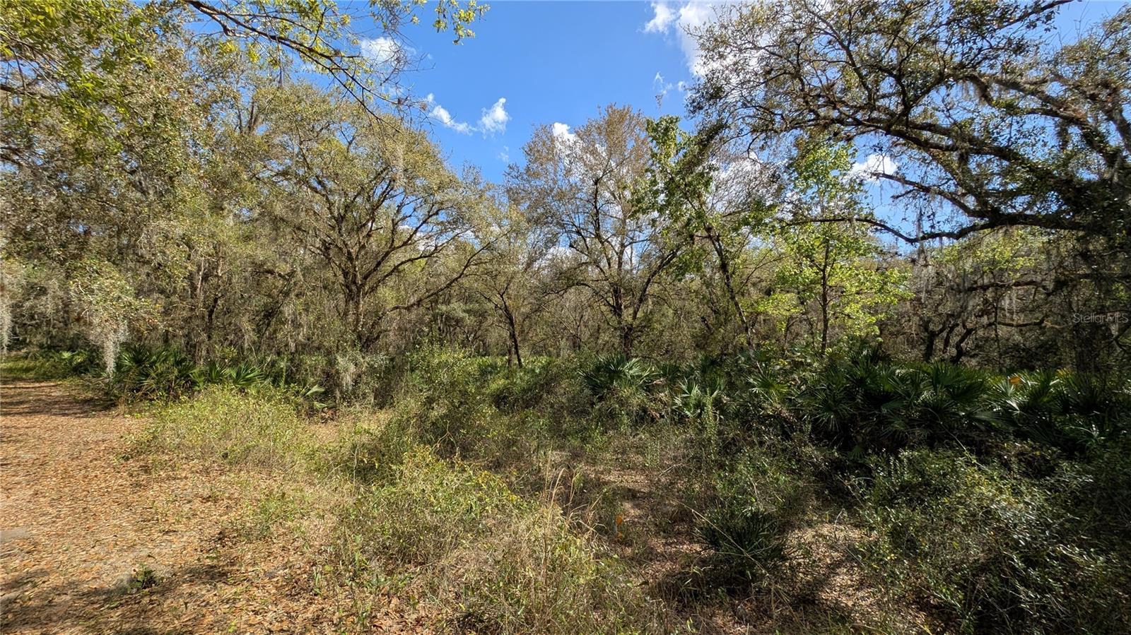 GILLETTE ROAD, Zolfo Springs, FL 33890