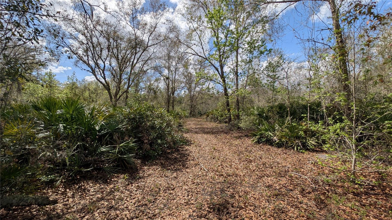 GILLETTE ROAD, Zolfo Springs, FL 33890