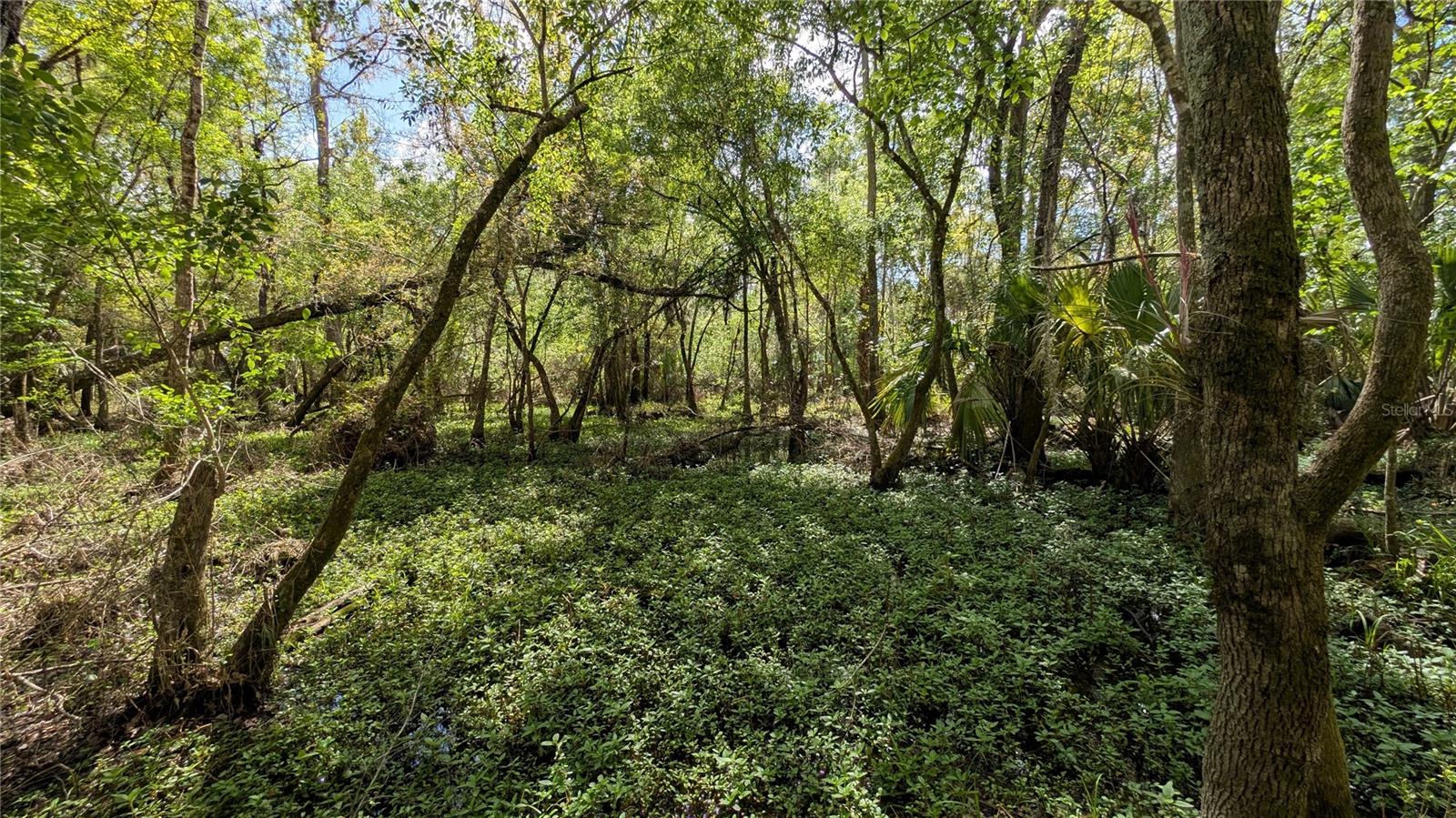 GILLETTE ROAD, Zolfo Springs, FL 33890