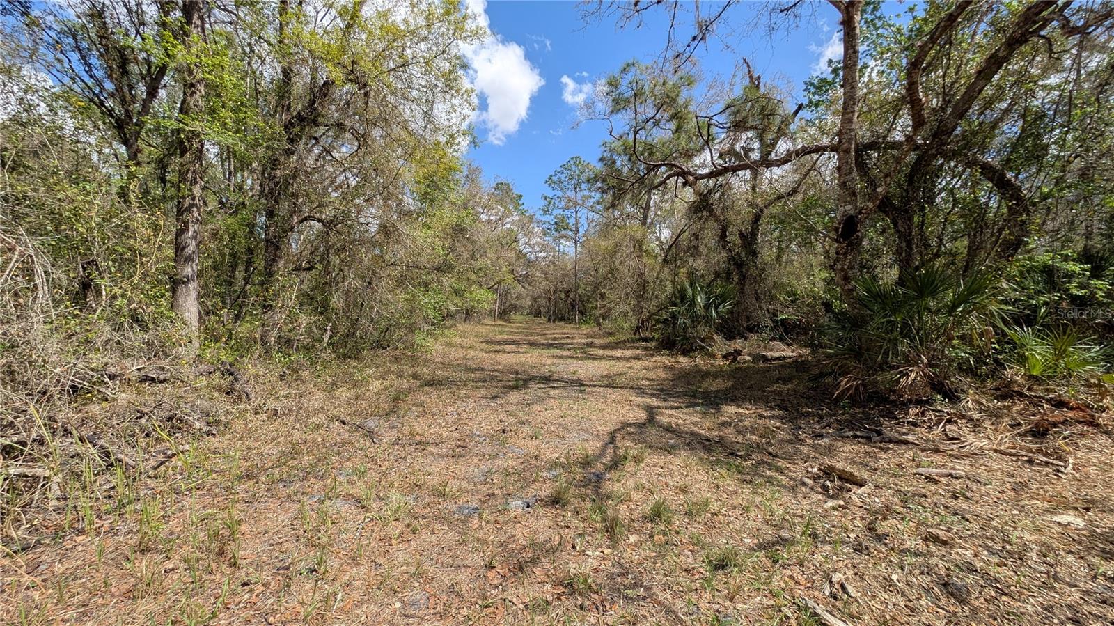 GILLETTE ROAD, Zolfo Springs, FL 33890