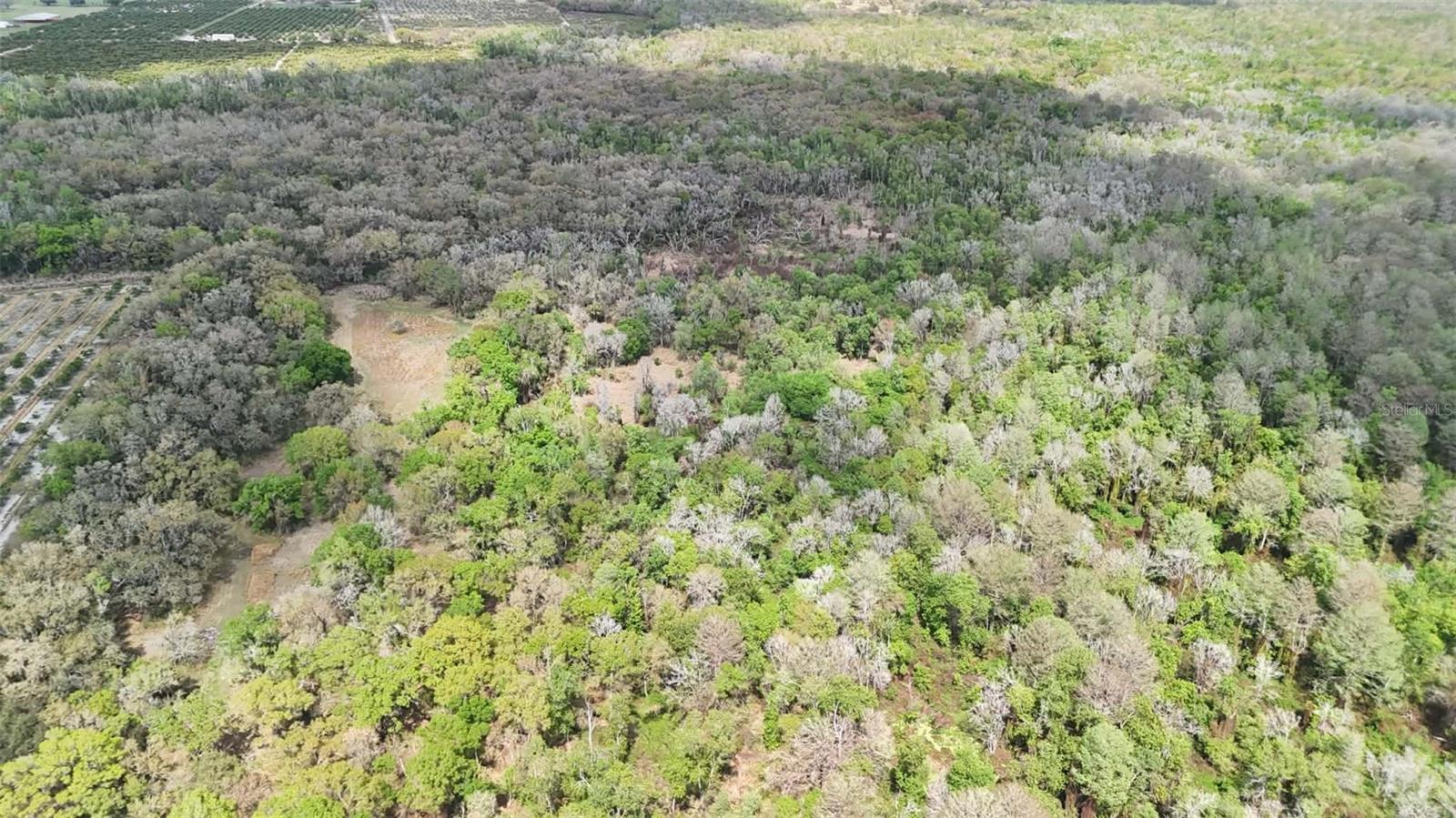 GILLETTE ROAD, Zolfo Springs, FL 33890
