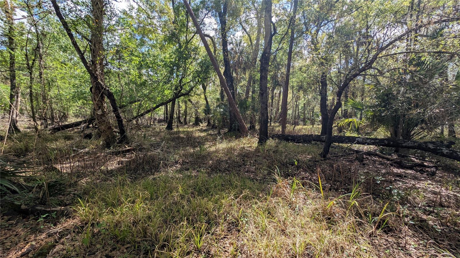 GILLETTE ROAD, Zolfo Springs, FL 33890