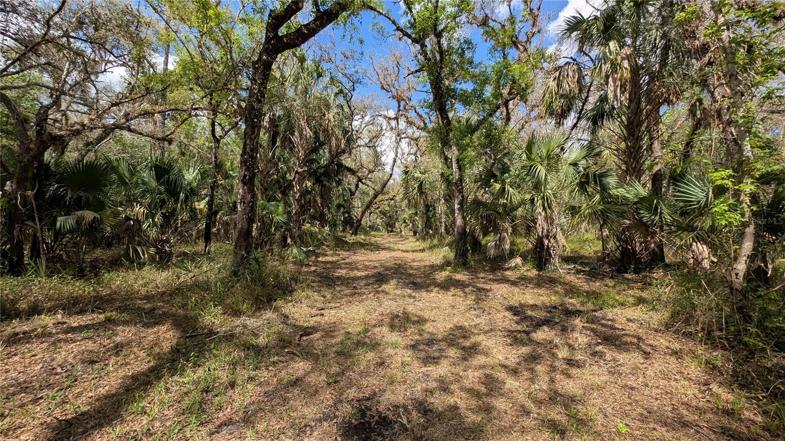 GILLETTE ROAD, Zolfo Springs, FL 33890 GILLETTE ROAD, Zolfo Springs, FL 33890