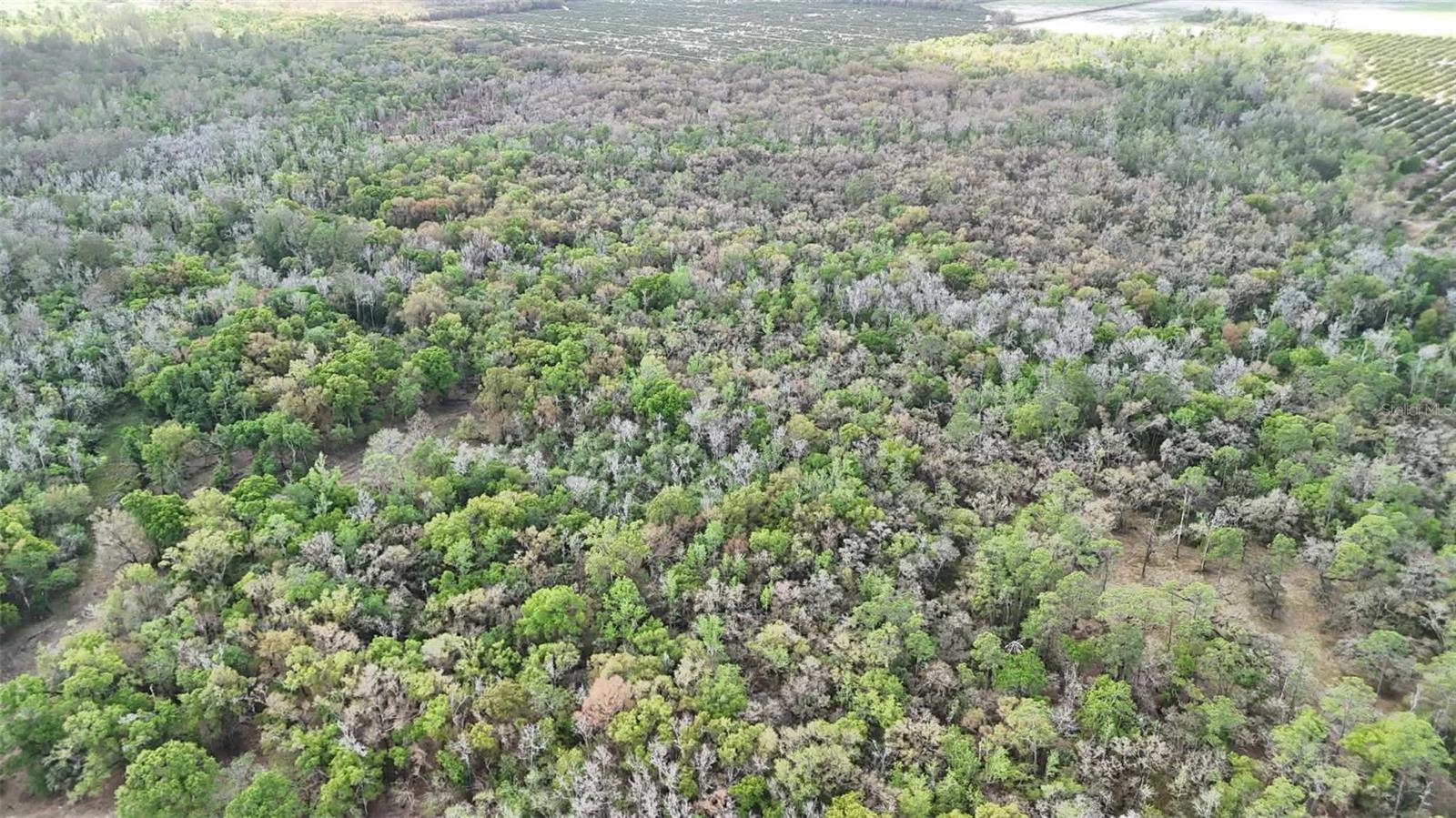 GILLETTE ROAD, Zolfo Springs, FL 33890