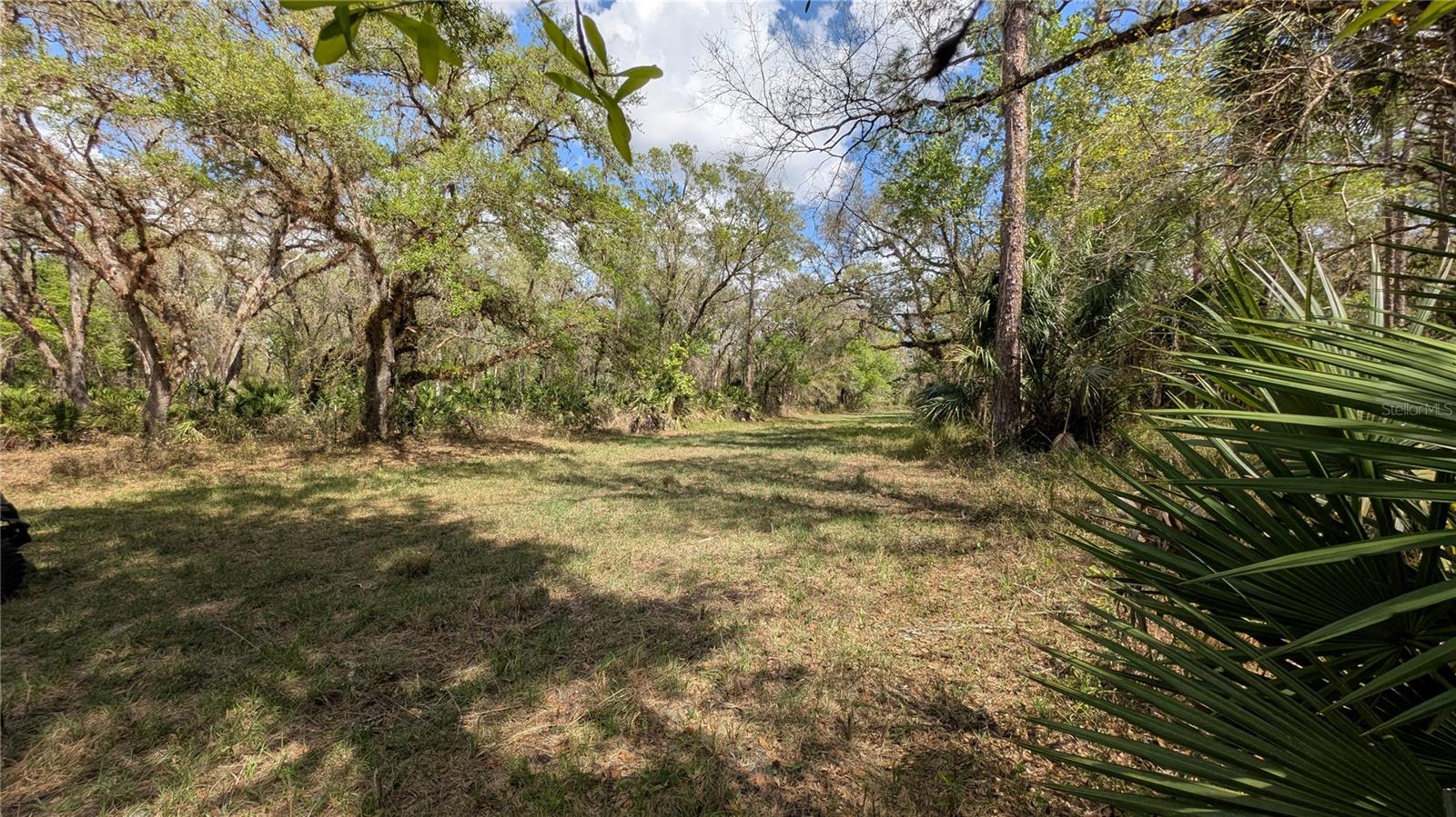 GILLETTE ROAD, Zolfo Springs, FL 33890