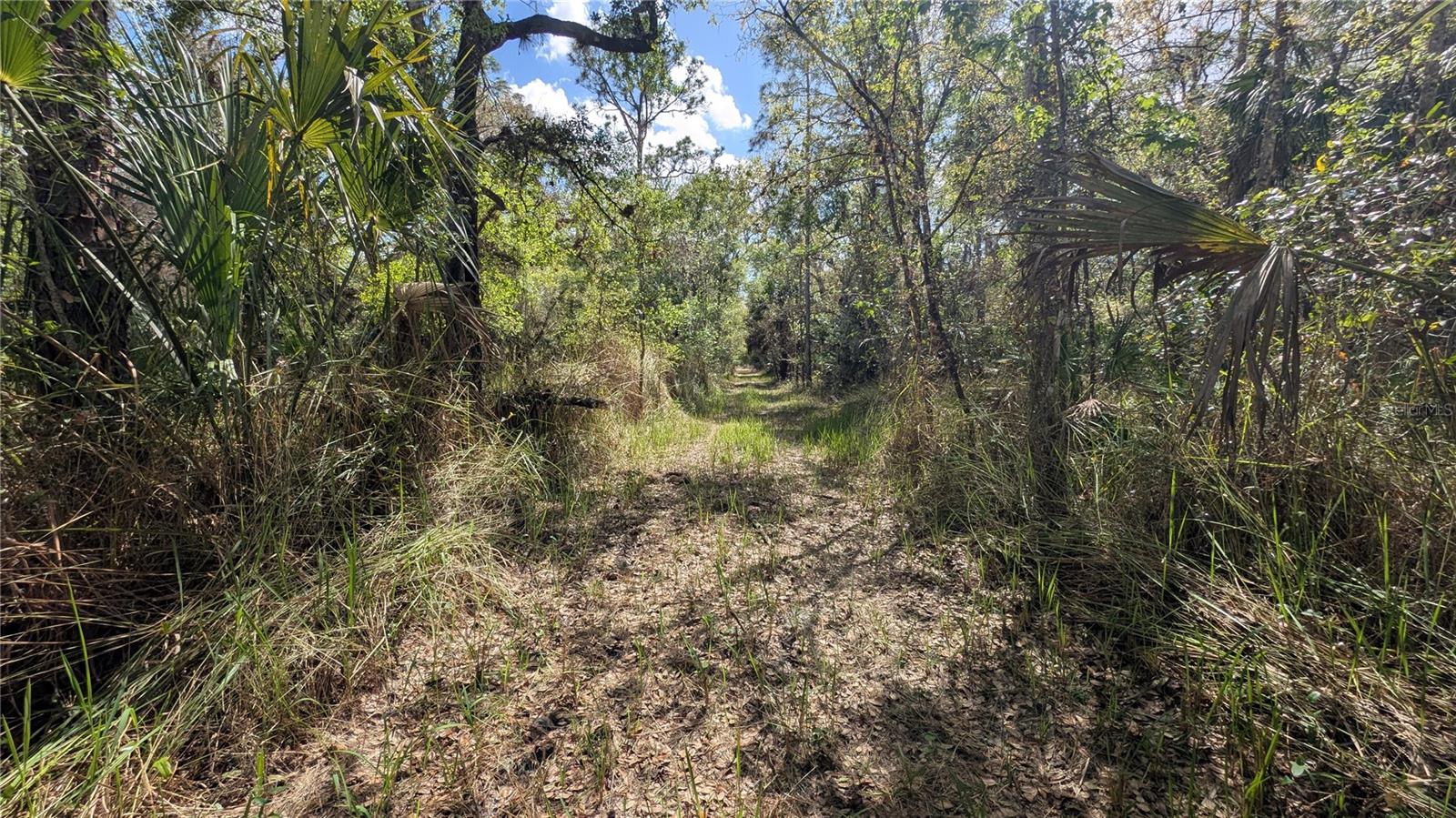GILLETTE ROAD, Zolfo Springs, FL 33890